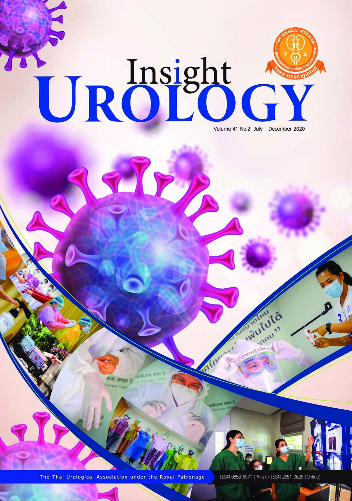 Presentation And Treatment Of Arteriovenous Fistula Arteriovenous Malformation And Pseudoaneurysm Of The Kidney In Ramathibodi Hospital Insight Urology