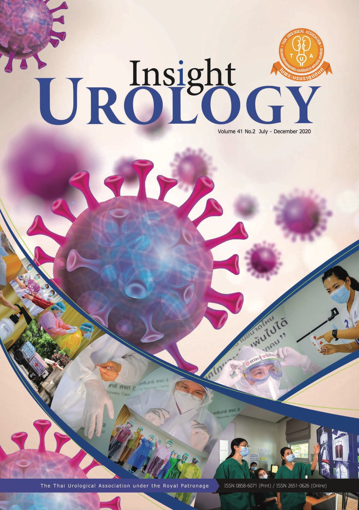 The Insight Urology (ISU); ISSN 2730-3217 (Online)