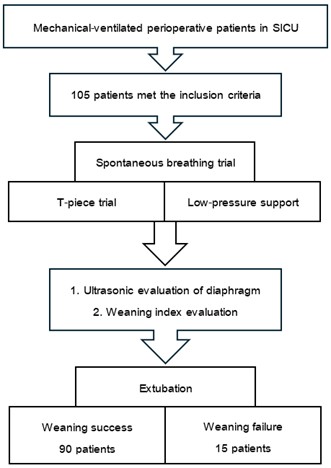 [TJS 46-2 04] Figure 1 Flow chart of study design and included participants