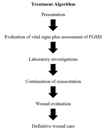 [TJS 46-3 03] Figure 1 Flow of the treatment protocol