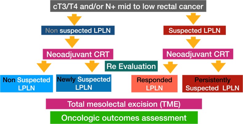 [TJS 46-2 03] Figure 1