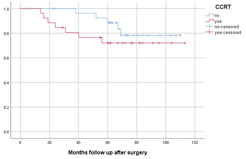 [TJS 47-1 01] Figure 1 Kaplan-Meier curves show disease-free survival; differences between the RT group and the without RT group were assessed with the log-rank test (p = 0.320)