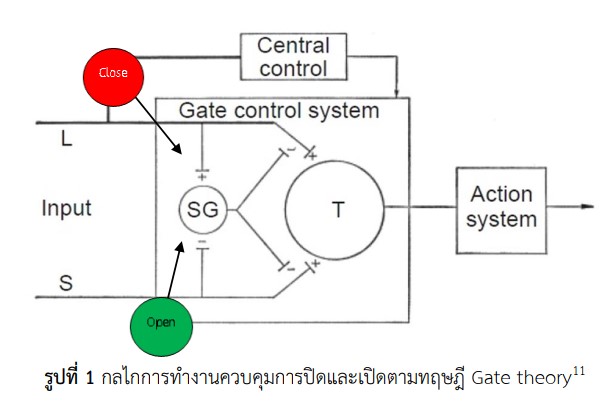 Gate Theory