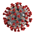 Coronavirus-CDC-645x645-statnews-no_background-2.png